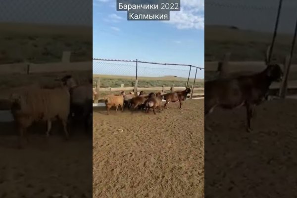 Что случилось с кракеном маркетплейс