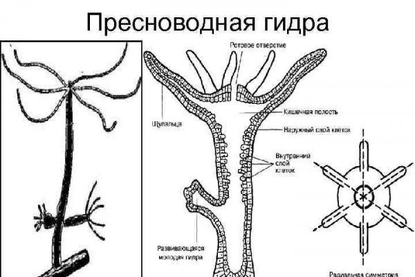 Кракен нет