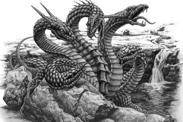 Kraken новая ссылка